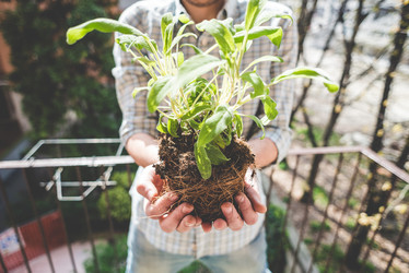 Similar image 7488113