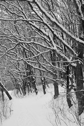 Similar image 7489020