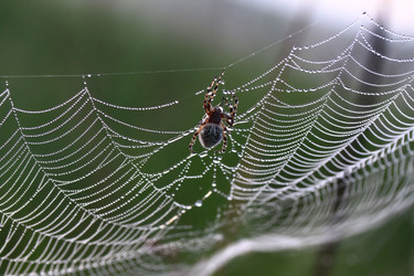 Similar image 7489035