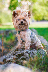 Similar image 7489096