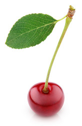 Similar image 7489148