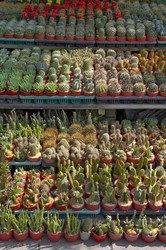 Similar image 7489204