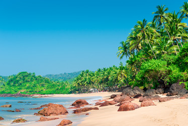 Similar image 7489281