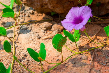 Similar image 7489286