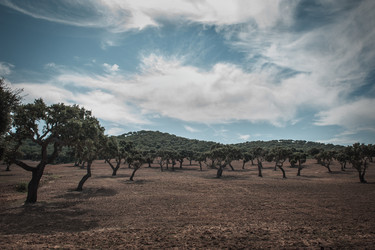 Similar image 7489402