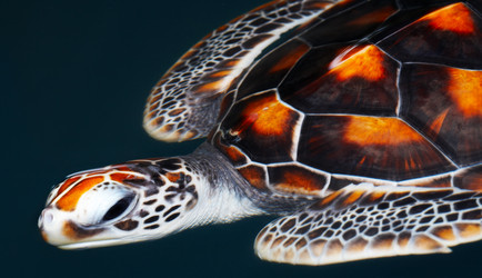 Similar image 7489499