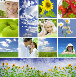 Similar image 7489638