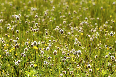 Similar image 7489668