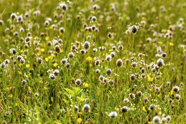 Similar image 7489673