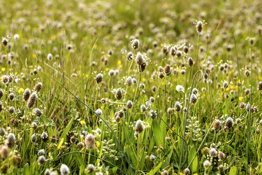 Similar image 7489674