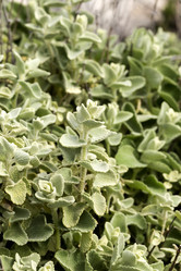 Similar image 7489725