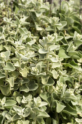 Similar image 7489726