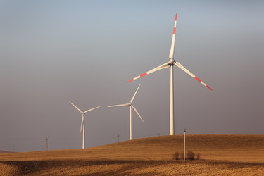 Similar image 7489729