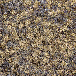 Similar image 7489853