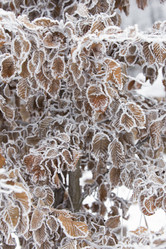 Similar image 7489856