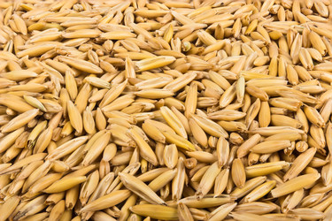 Similar image 7489858