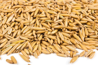 Similar image 7489859