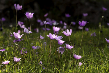 Similar image 7489864