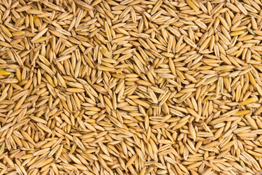 Similar image 7489873