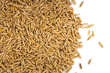 Similar image 7489874