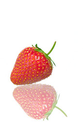 Similar image 7490295