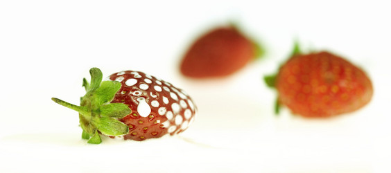 Similar image 7490316