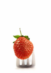 Similar image 7490318