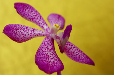 Similar image 7490369