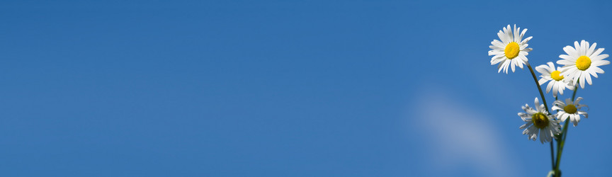 Similar image 7490377