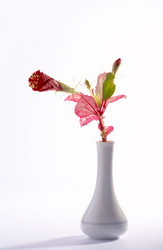 Similar image 7490378