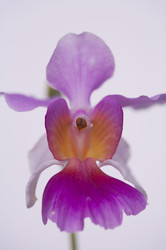 Similar image 7490380