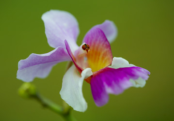 Similar image 7490381