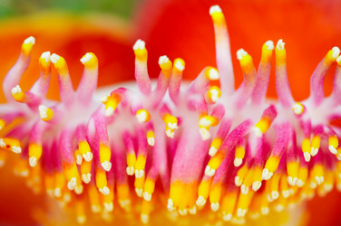 Similar image 7490383