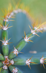 Similar image 7490384