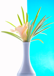 Similar image 7490386