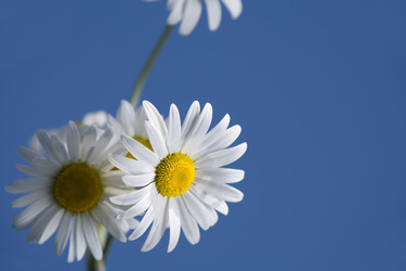 Similar image 7490388