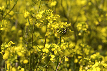 Similar image 7490406