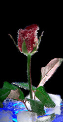 Similar image 7490410