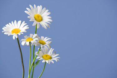 Similar image 7490414