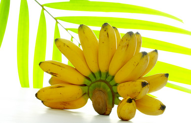 Similar image 7490425