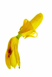 Similar image 7490427