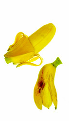 Similar image 7490429