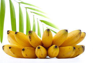 Similar image 7490430