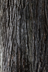 Similar image 7490482