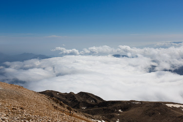 Similar image 7490634