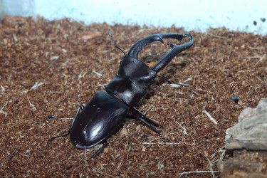 Similar image 7490649