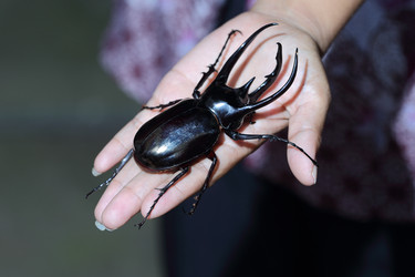 Similar image 7490651