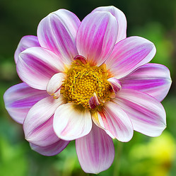 Similar image 7490655