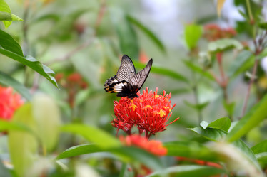 Similar image 7490658