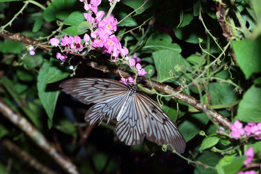 Similar image 7490660